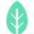 Leaf icon