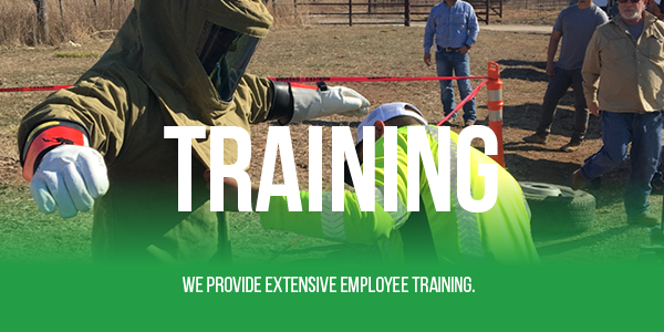 Training, we provide extensive employee training