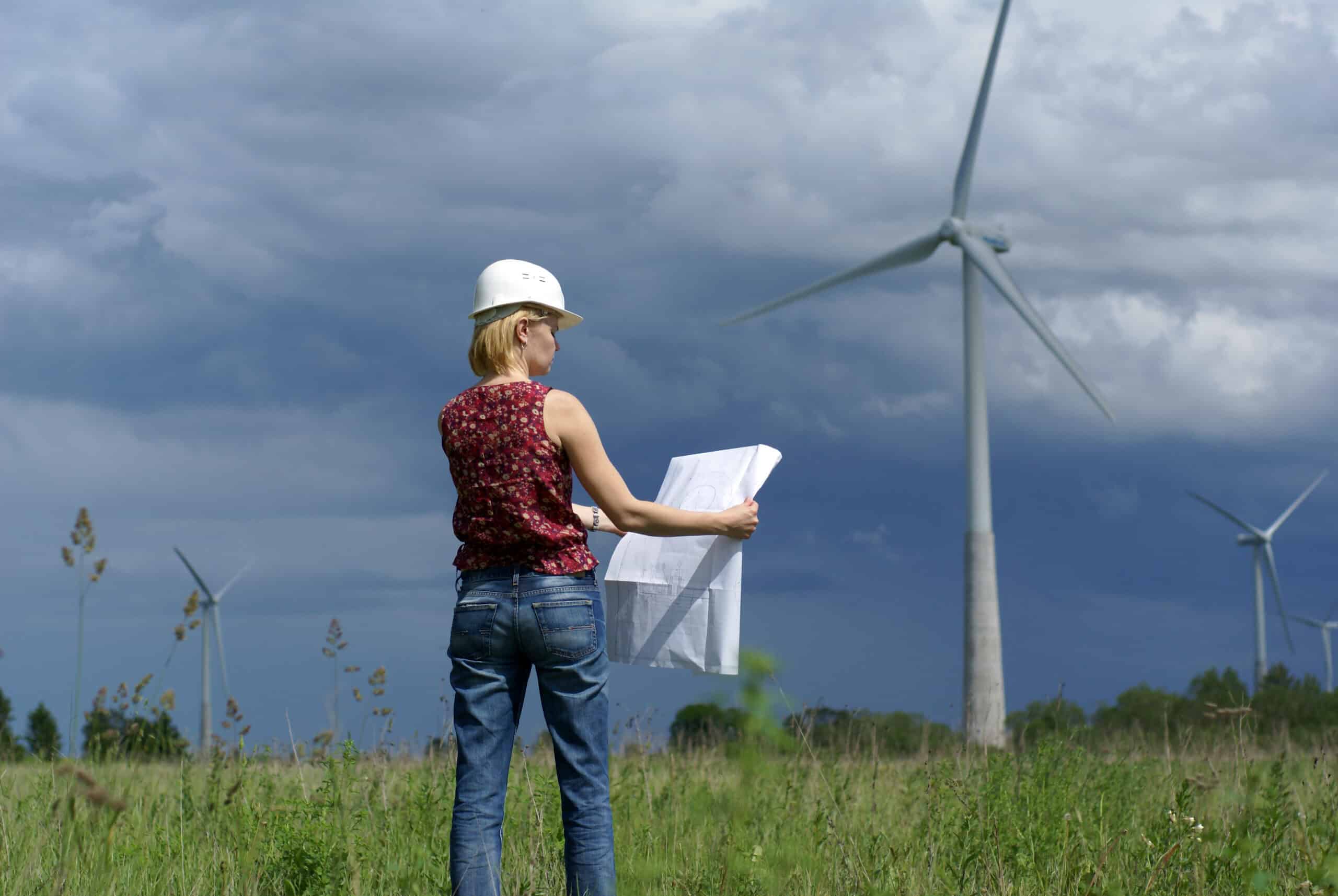 renewable energy consultant