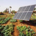 Renewable energy consulting