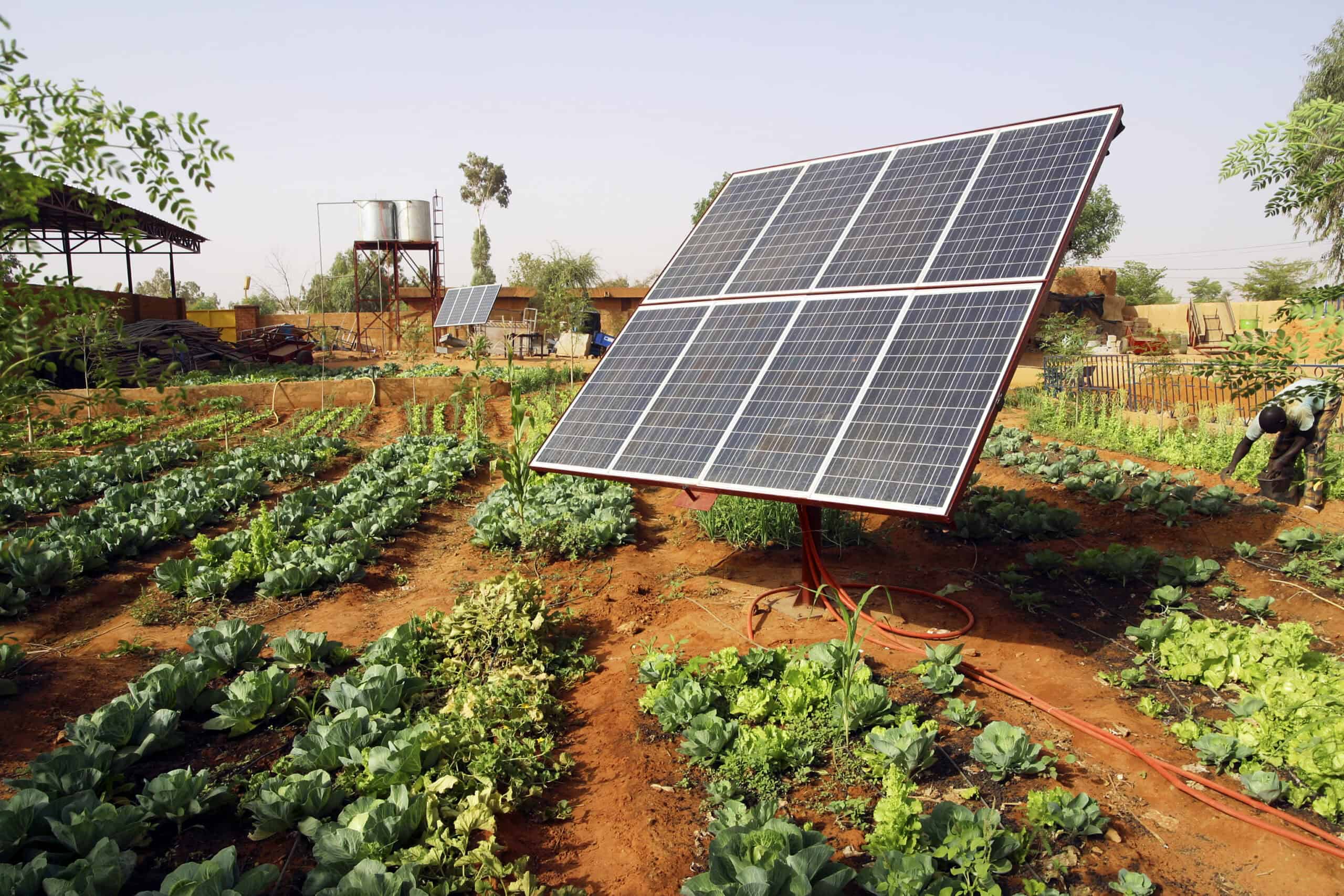 Renewable energy consulting
