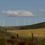 wind energy consultant