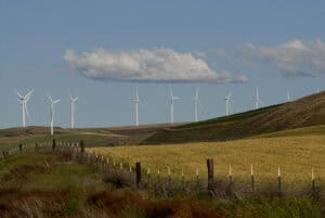 wind energy consultant