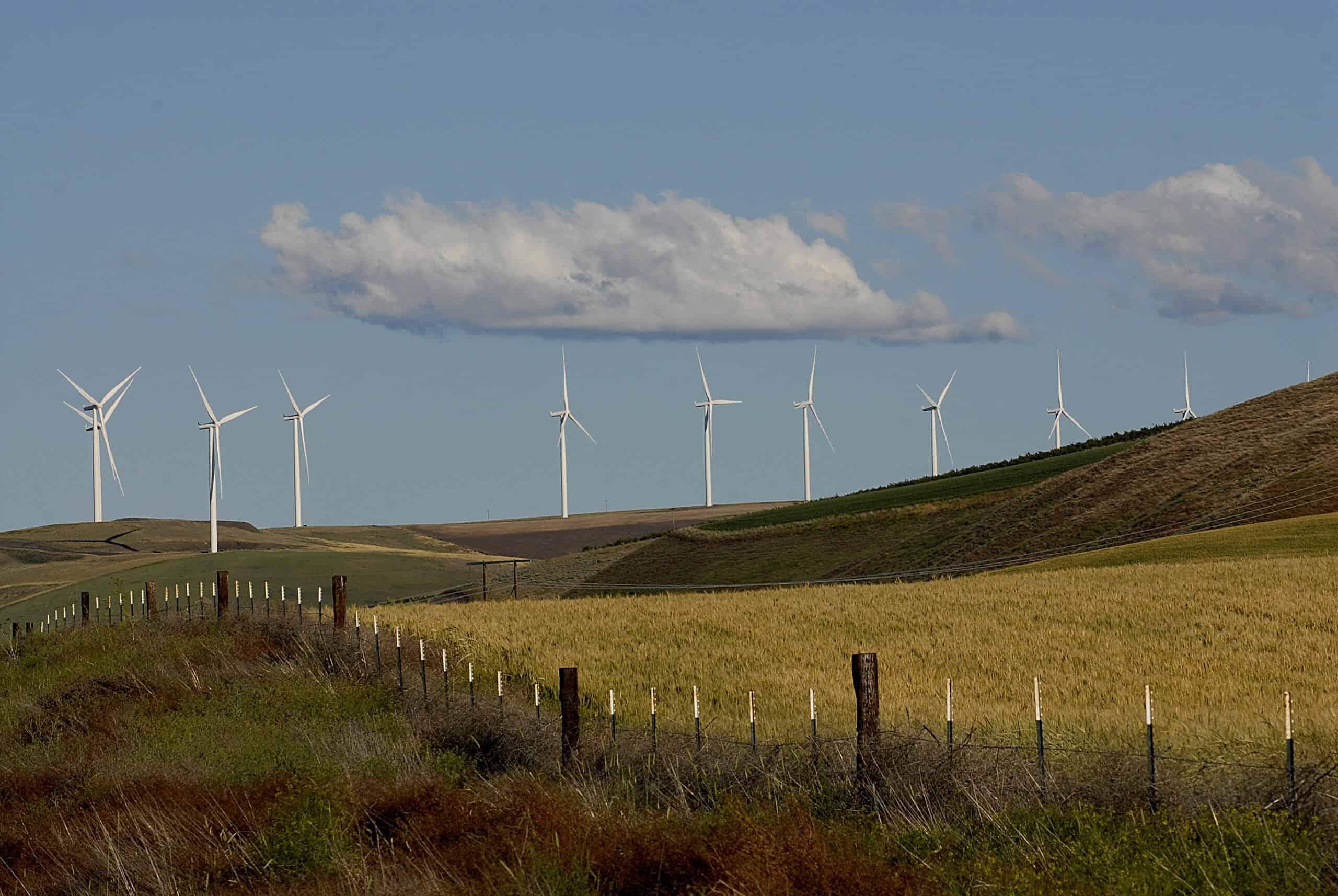wind energy consultant