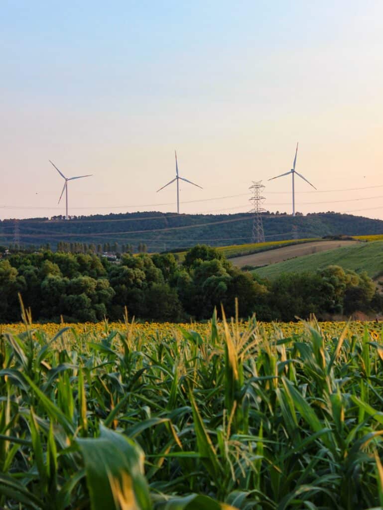 Wind Farm Setup